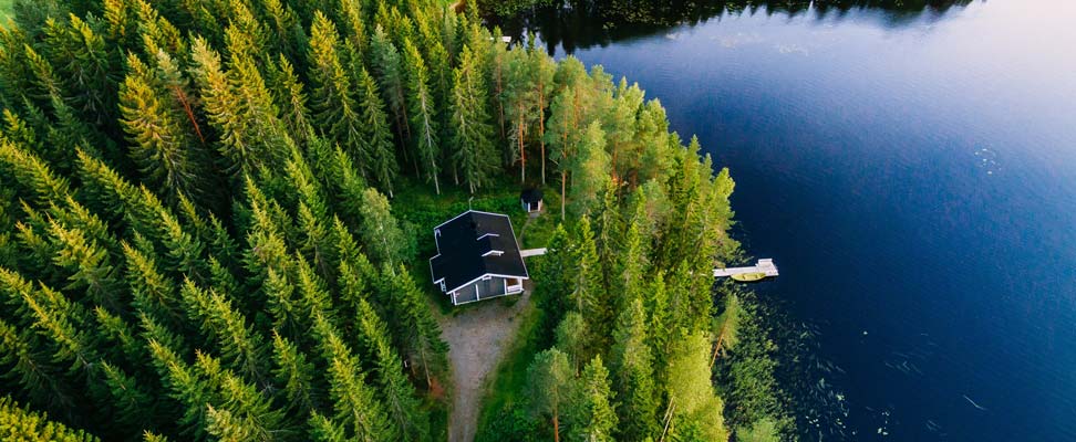 Finland-Teijo-pine-forest-972x400