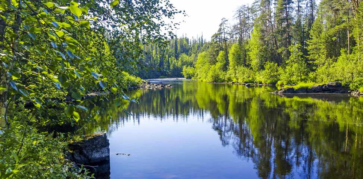 Национальные парки финляндии фото